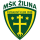 斯利纳U19logo